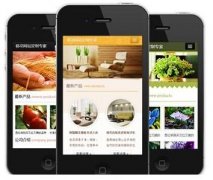 手機網(wǎng)站怎樣做才更有效果？如何做優(yōu)化？