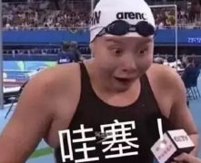 做好SEO，必須知道的這幾句實(shí)話！