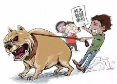青島10月份一大波勁爆消息，你知道嗎？