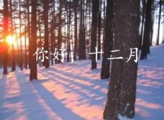 抓住2016年的尾巴給自己充充電！12月，加油！