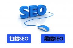 網站百度排名優(yōu)化,白帽seo優(yōu)化,客戶最關心問題解