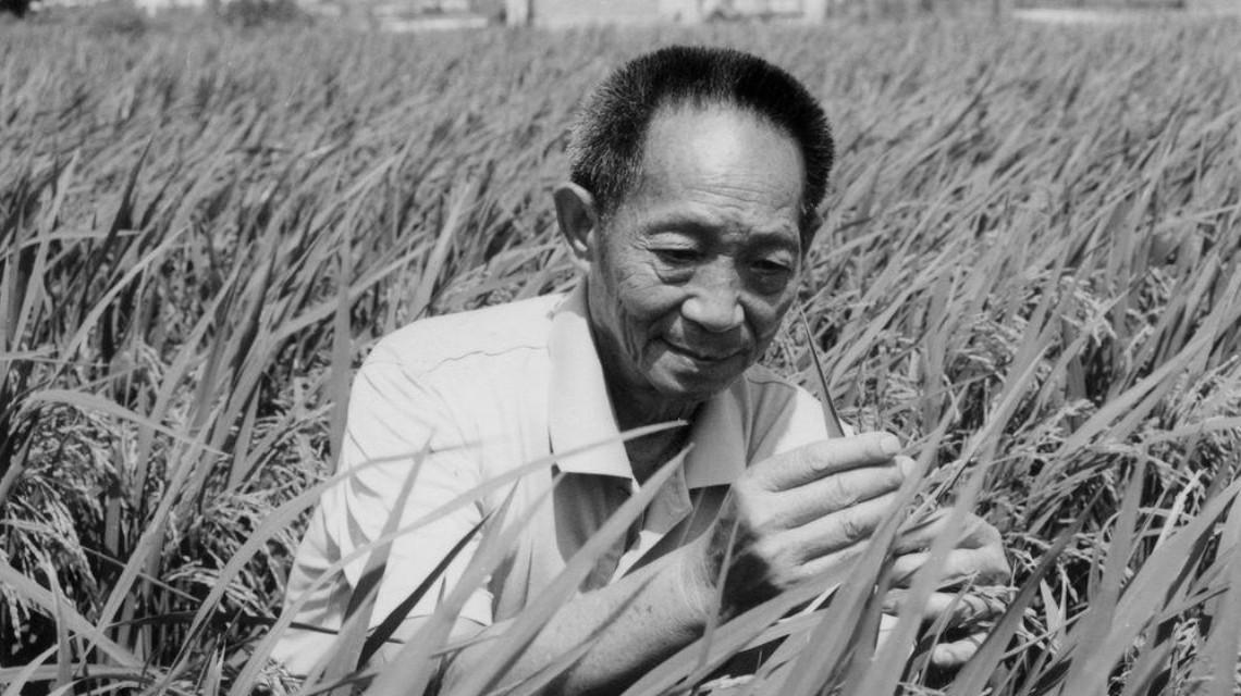 沉痛哀悼！袁隆平院士逝世